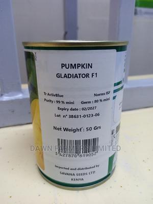 Pumpkin Gladiator F1 50gms - main view