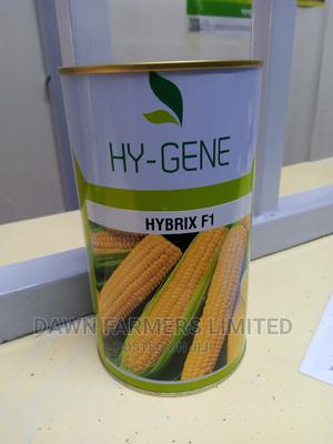 Corn Hybrixf1 250gms - main view