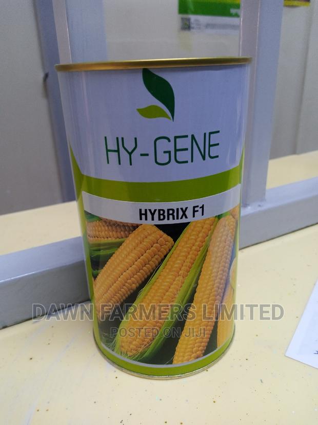 Corn Hybrixf1 250gms