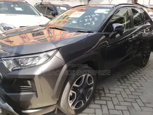 Toyota RAV4 2020 Gray
