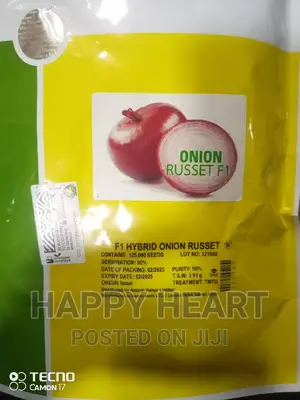 Russet F1 Hybrid Onion 500G(125,000 Seeds)