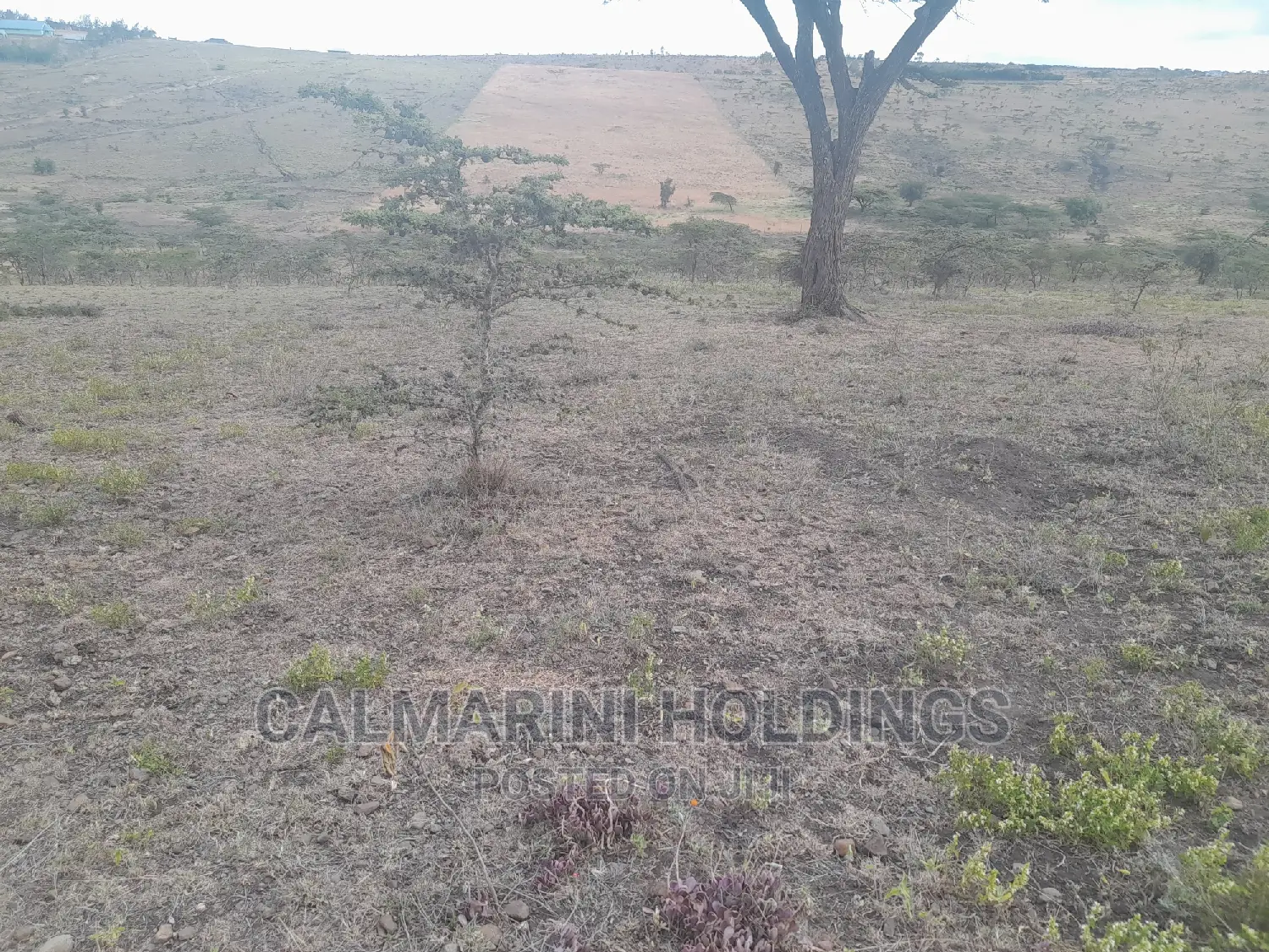 Prime 60 Acres for Sale Off Isinya-Konza Bypass