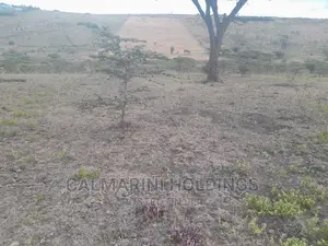 Prime 60 Acres for Sale Off Isinya-Konza Bypass