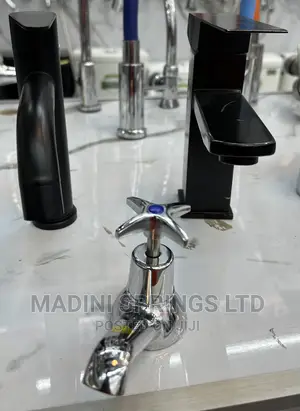 Stainless Steel Kitchen/Shower Mixer Taps
