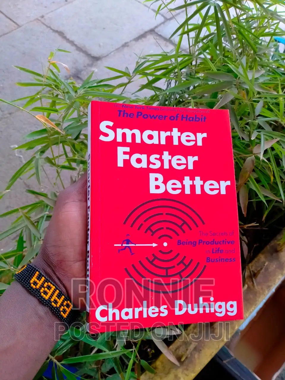 Smarter Faster Better Book by Charles Duhigg