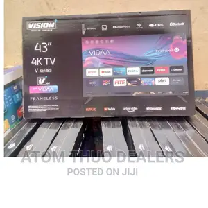 Vision Flameless 43 Inches T v / Television Vision Plus