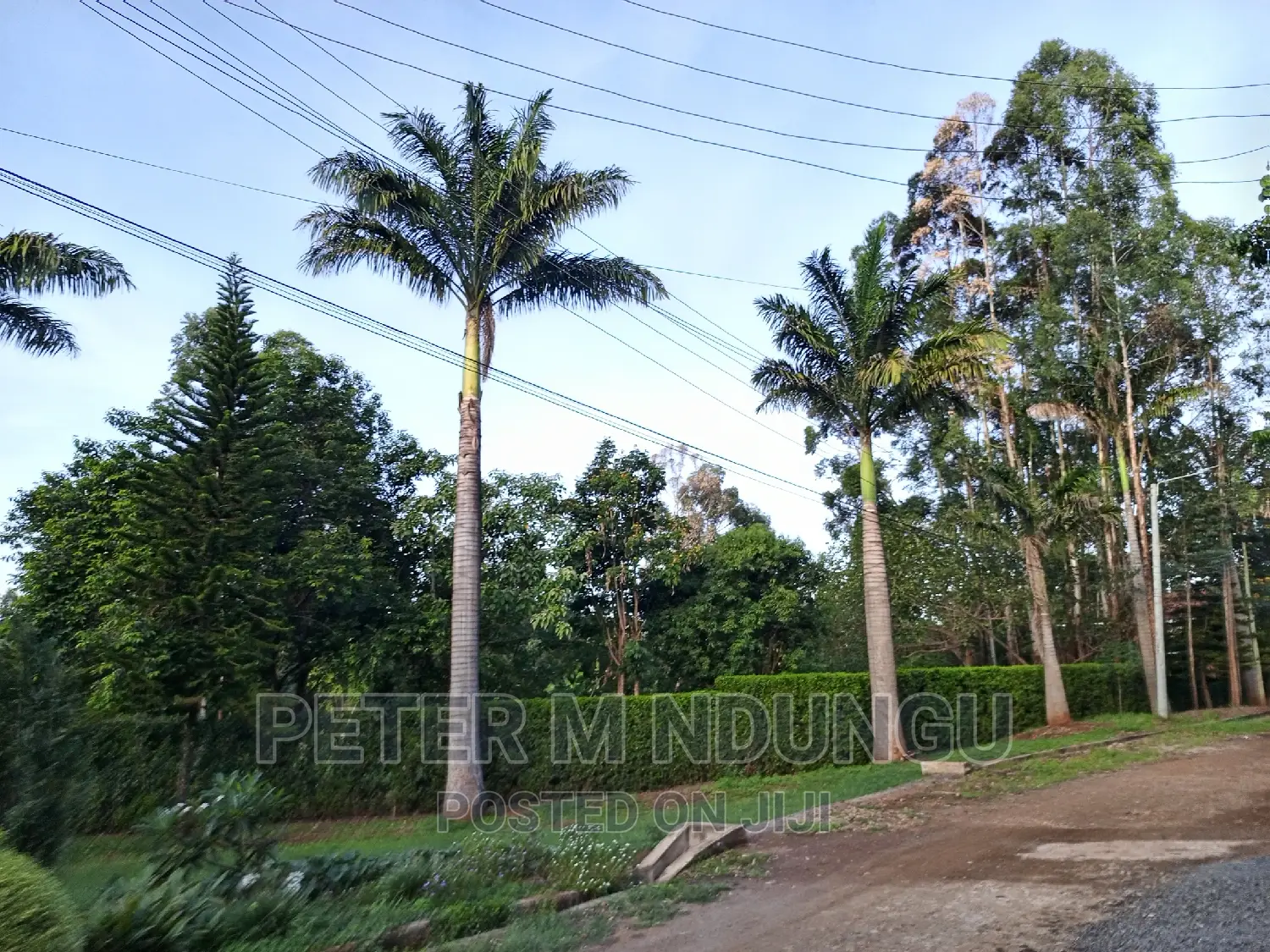 Prime Muthaiga North Country Villas 0.5 Acres