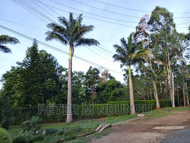 Prime Muthaiga North Country Villas 0.5 Acres - thumbnail 2