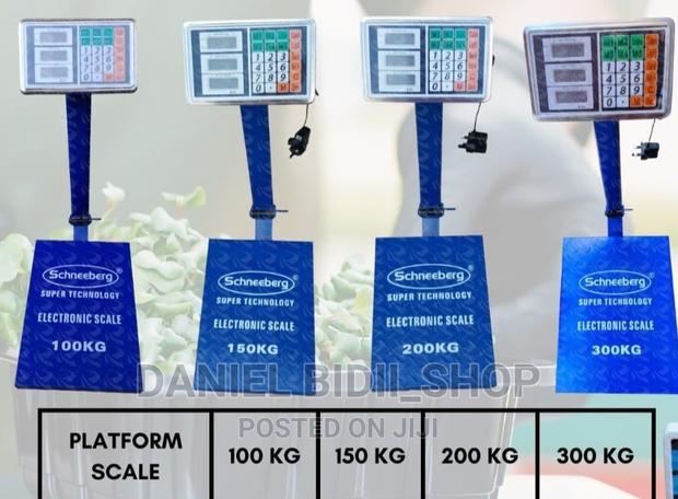 300 Electric Platform Scale - main view