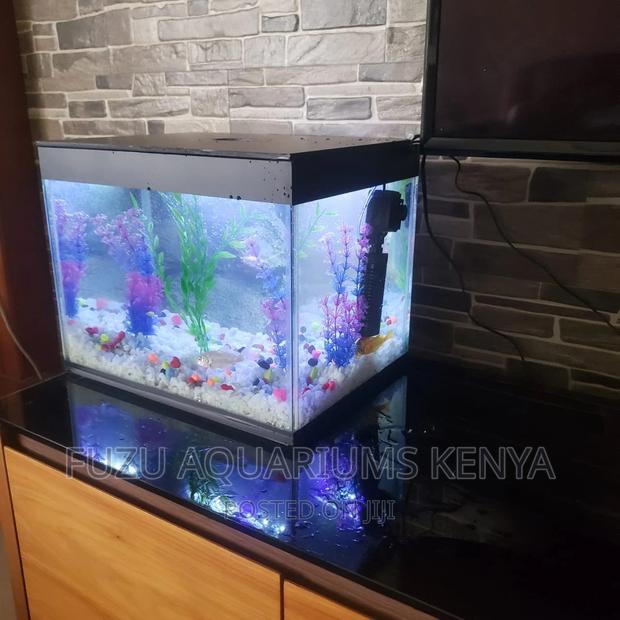 Full Equipped Aquarium With Fish
