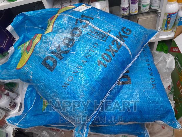 Dk 8031 Dekalb Seed Maize 2kg - thumbnail 3