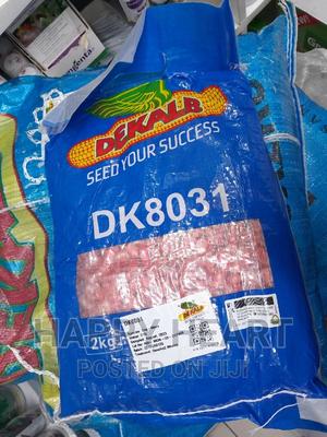 Dk 8031 Dekalb Seed Maize 2kg - main view