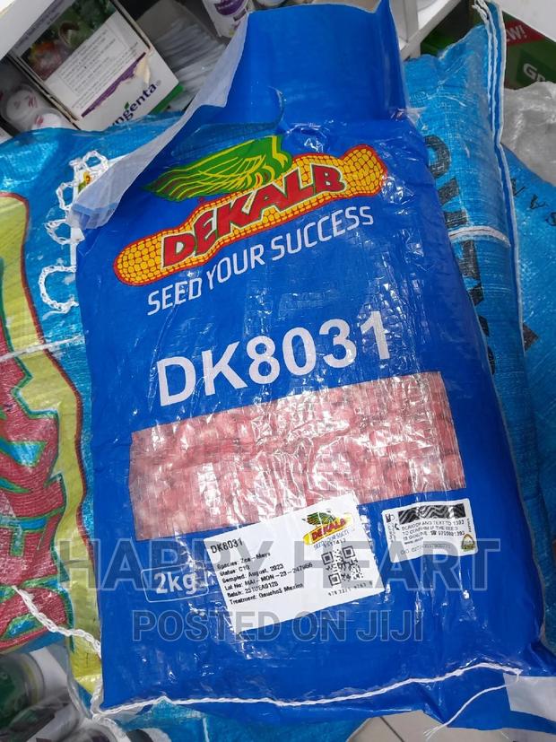 Dk 8031 Dekalb Seed Maize 2kg