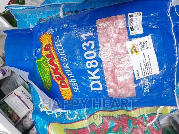 Dk 8031 Dekalb Seed Maize 2kg - thumbnail 4