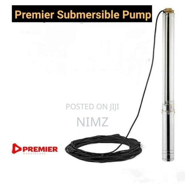 Premier 1hp Deep Well Electric Submersible Water Pump