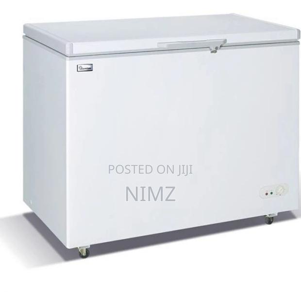 Premier 250L Chest Freezer - main view