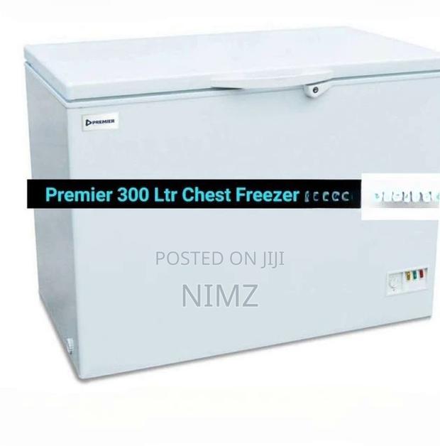Premier 300 Liters Chest Freezer - main view