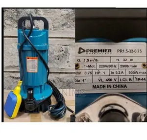 Premier 1HP Electric Submersible Water Pump 32m