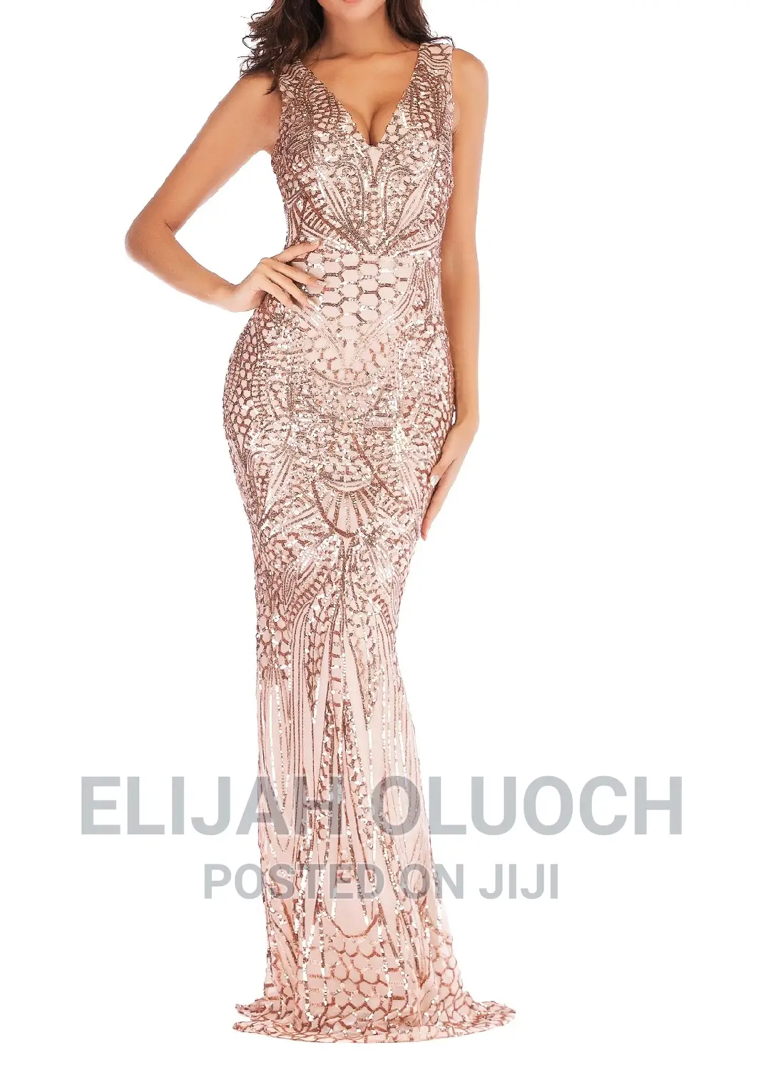 Sequin Dinner Dress