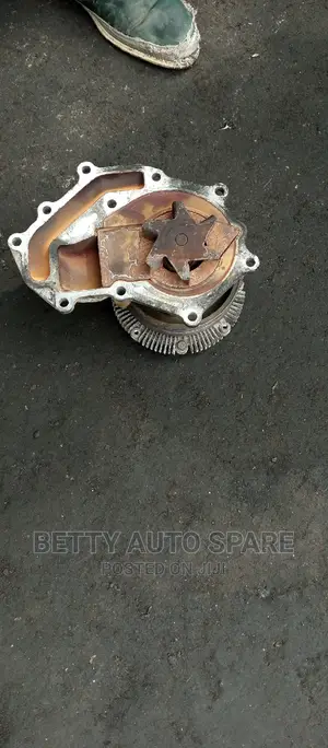 Nissan Caravan Water Pump (Zd30)