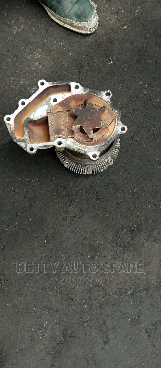 Nissan Caravan Water Pump (Zd30)