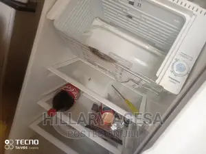 Fridge Evaporator Repair
