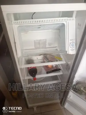 Fridge Evaporator Repair