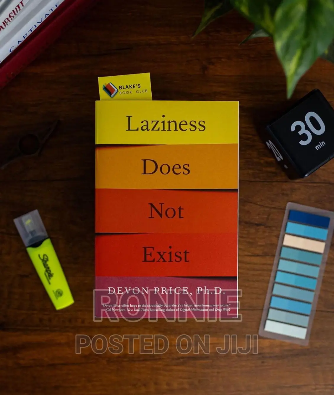 Laziness Does Not Exist Book by Devon Price