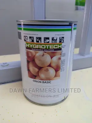 Onion Basic F1 Hybrid,100,000 Seeds