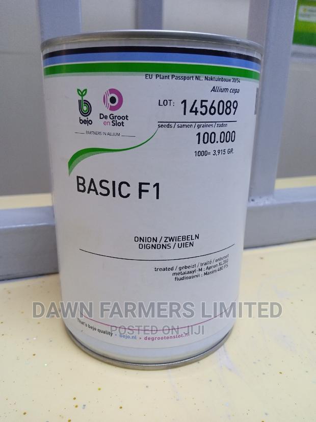 Onion Basic F1 Hybrid,100,000 Seeds - thumbnail 2