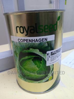 Cabbage Copenhagen 250gms - main view