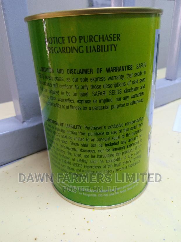 Watermelon Tunda F1 500gms - thumbnail 2
