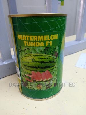 Watermelon Tunda F1 500gms - main view