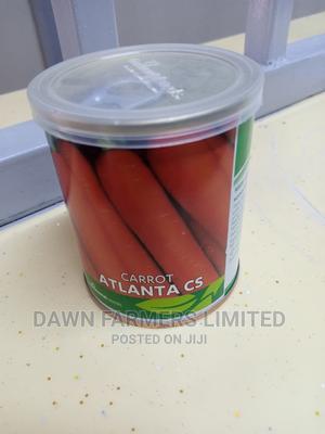 Carrot Atlanta Cs 50gms - main view