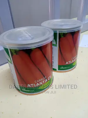 Carrot Atlanta Cs 50gms