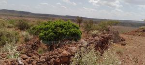 One Acre for Sale in a Scenic Location in Ngong Kimuka