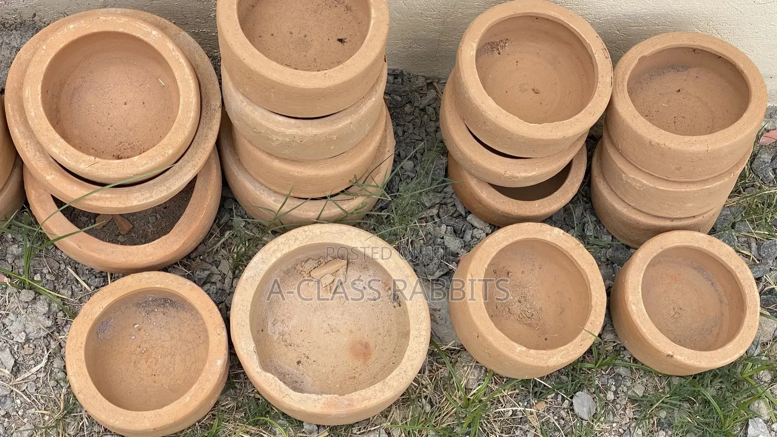 Rabbit Clay Pots/ Feeders/ Plates