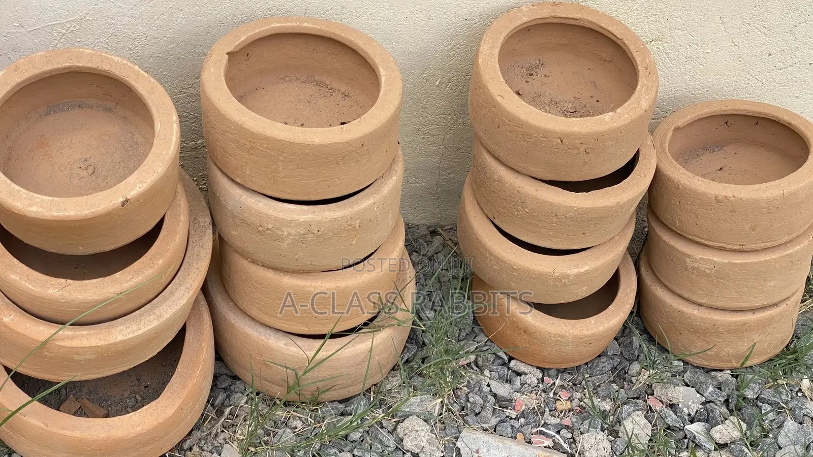 Rabbit Clay Pots/ Feeders/ Plates