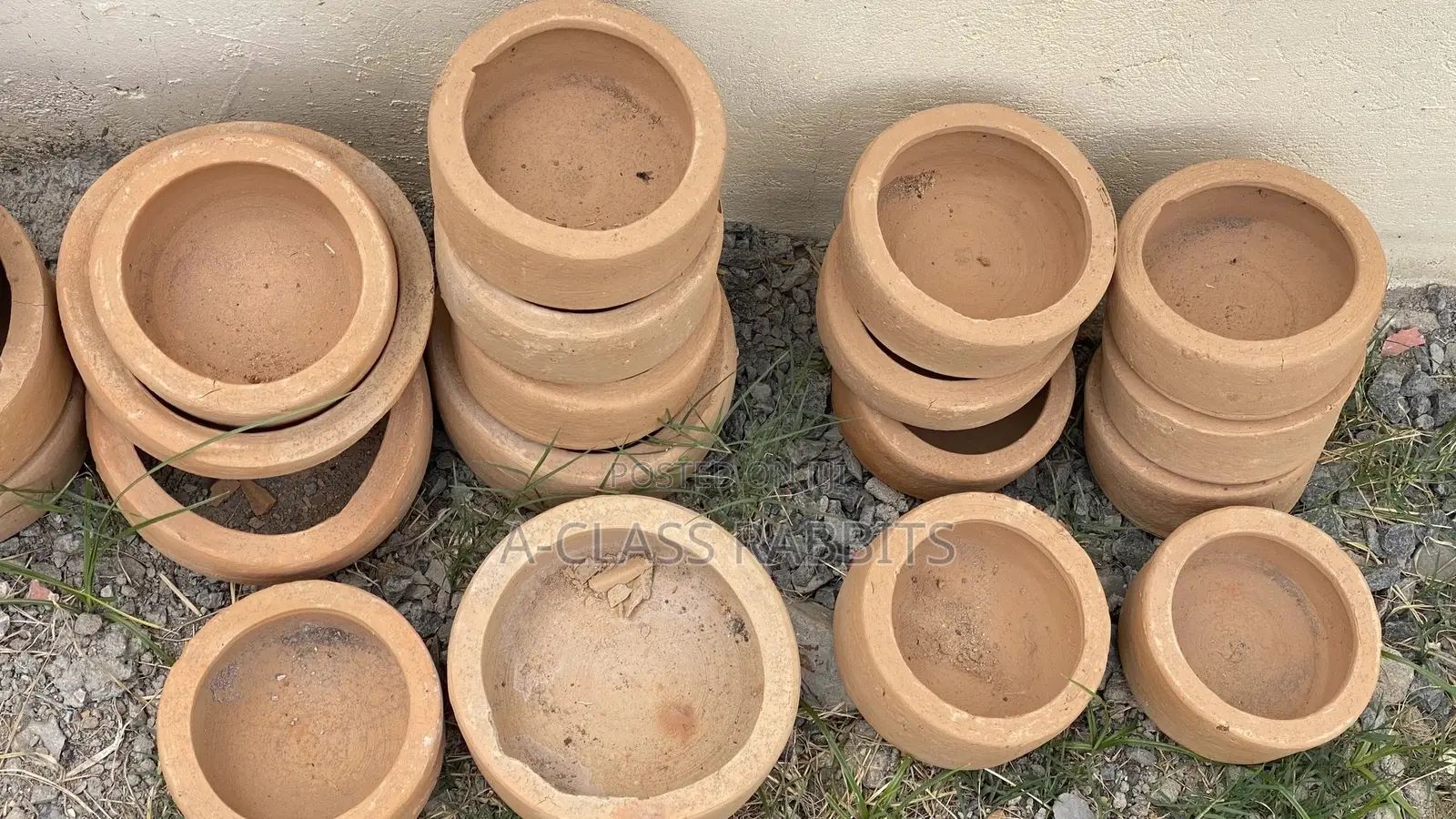 Rabbit Clay Pots/ Feeders/ Plates
