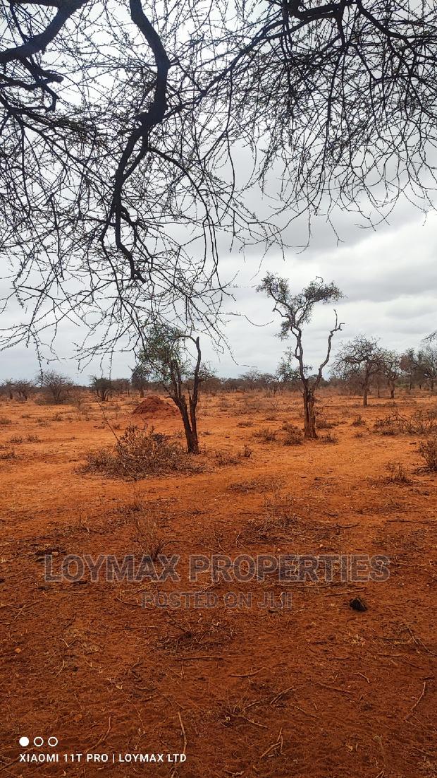 42 Acres for Sale in Kajiado Mashuru - thumbnail 6
