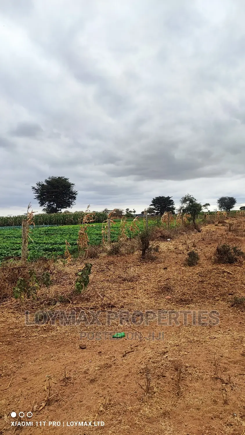 42 Acres for Sale in Kajiado Mashuru