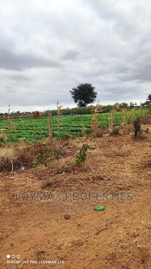 42 Acres for Sale in Kajiado Mashuru - thumbnail 2