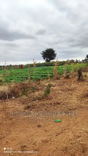 42 Acres for Sale in Kajiado Mashuru