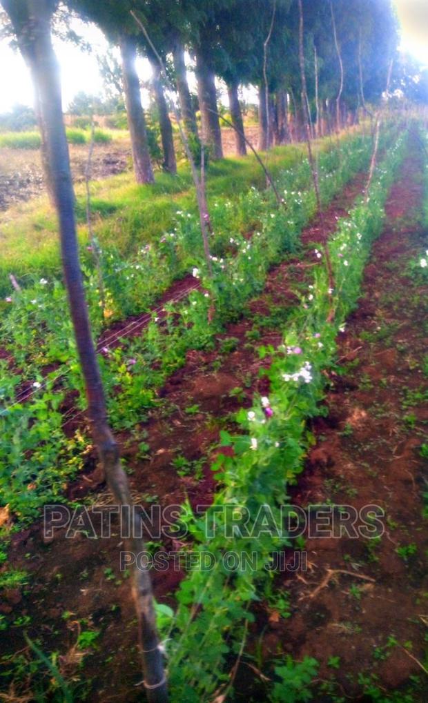 3 Acre Land in Timau - thumbnail 2