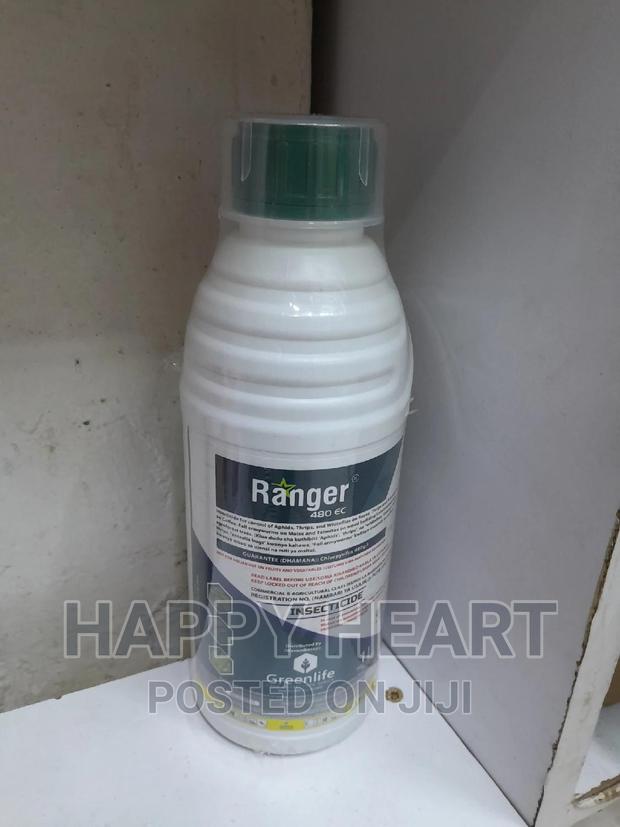 Ranger 480ec Insecticide 1litre