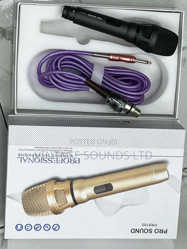 Pro Sound PR9100 Dynamic Microphone - main view