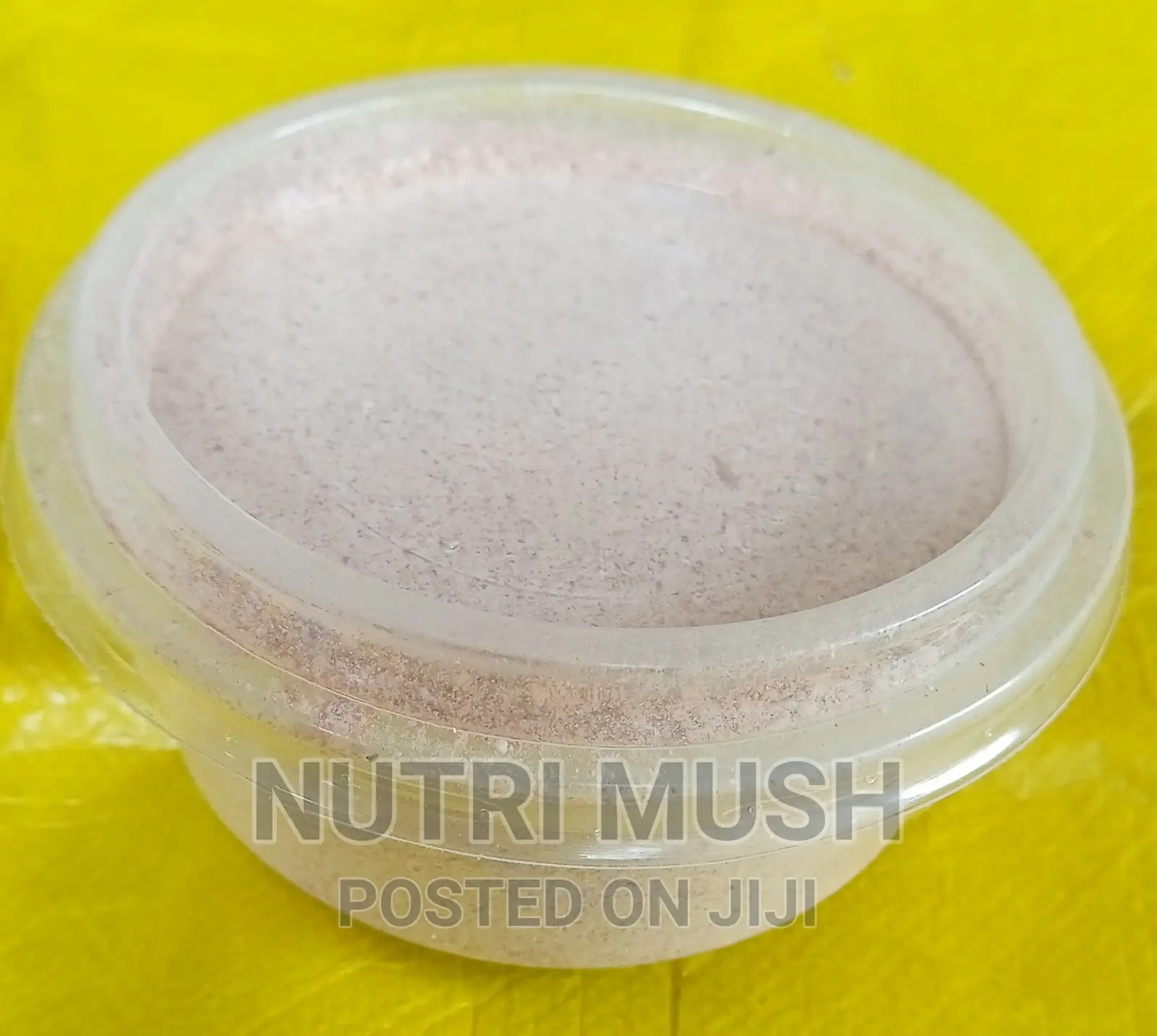 Ganoderma Mushroom Powder