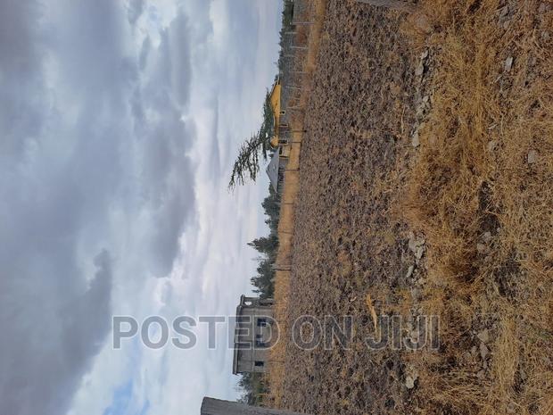 50 by 100 Plots Malaa Mw^ - main view