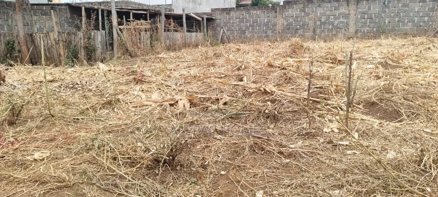 Varsity Prime Plot for Sale