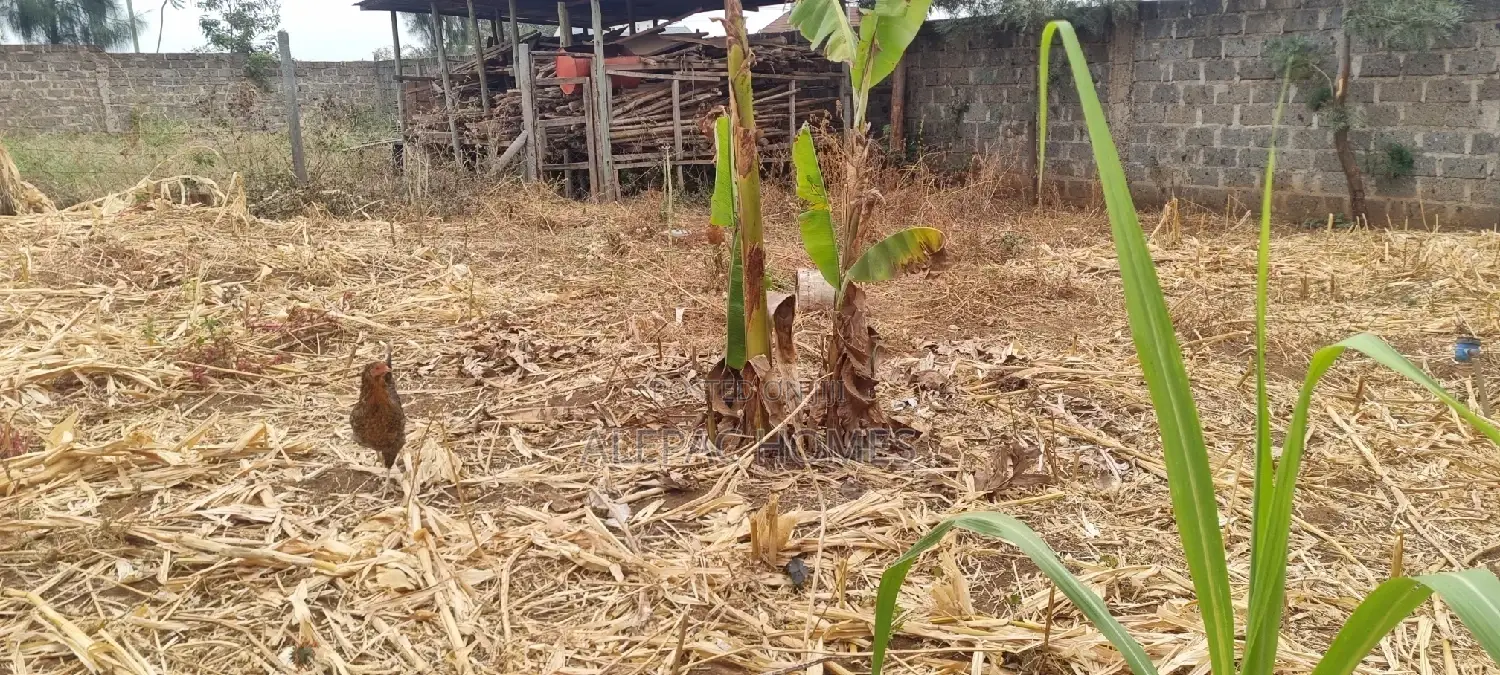Varsity Prime Plot for Sale